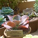 Mary Huntington Photo 26