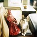 Ashley Watson Photo 31
