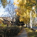 Julia Skinner Photo 29