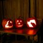 Sarah Kidder Photo 32