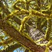 Jeffrey Wolf Photo 44