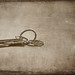 Larry Robison Photo 12
