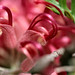 Robin Gordon Photo 13