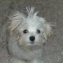 Jeanne Robinson Photo 19
