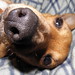 Jack Spaulding Photo 18