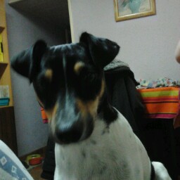 Maria Chacon Photo 16
