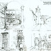Alfonso Cruz Photo 15