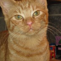 Ruby Miller Photo 6