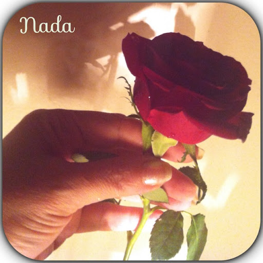 Nada Taha Photo 14
