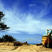 Dean Long Photo 9
