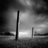 David Stuart Photo 41