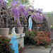Joseph Conway Photo 49