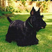 Julie Keeney Photo 17