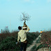 Vinh Tran Photo 24