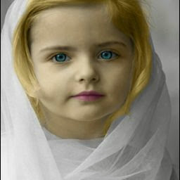 Mohammad Mahmoudi Photo 22
