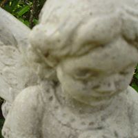 Susan Dugas Photo 4