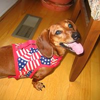 Sandra Heflin Photo 22