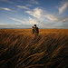 David Cossette Photo 10