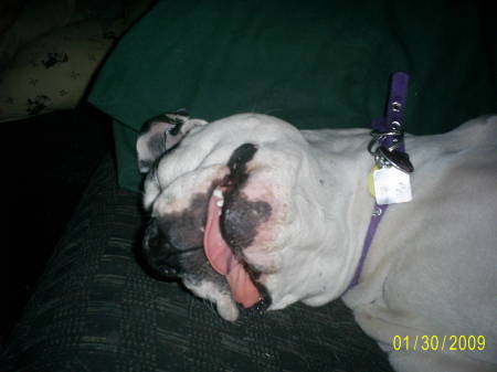 Debra Gallagher Photo 18
