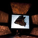 David Weiner Photo 45