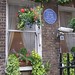Edward Ivy Photo 5