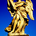 Angelo Tierno Photo 4