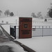 Samuel Dukes Photo 21