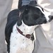 Marshall Ruth Photo 7