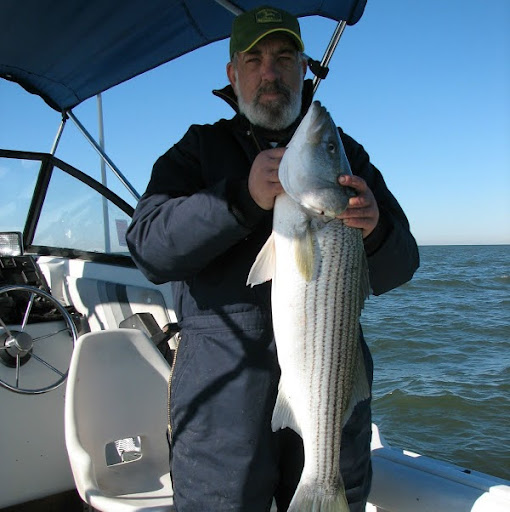 David Jeffries Photo 19