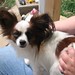 Nancy Doyle Photo 7