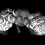 David Barclay Photo 17