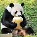 Janet Foo Photo 20