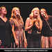 Robert Chapin Photo 13