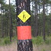 Mark Polk Photo 30