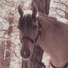Ruby King Photo 31