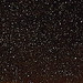 Lee Moon Photo 10