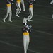 Rose Cadet Photo 20