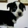 Cindy Buckner Photo 13
