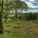 Heather Edge Photo 10