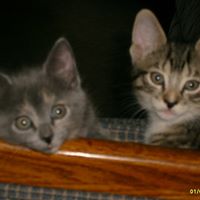 Judith Magee Photo 22