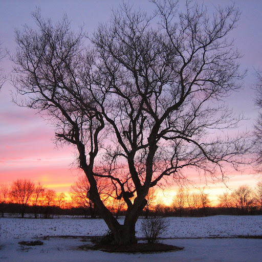 Robin Stoller Photo 5