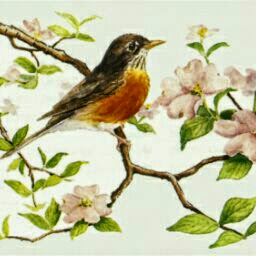 Robyn Bird Photo 6