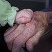 Brenda Anderson Photo 28