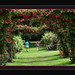 Elizabeth Rose Photo 41