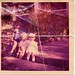 Kathy Robins Photo 31
