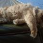 Debbie Calvert Photo 12