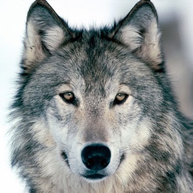 Joe Summers Photo 36
