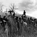 Steve Szabo Photo 10