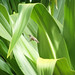 Debbie Roeder Photo 8