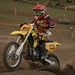 Daniel Robb Photo 17